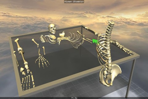 3D骨骼拆解
