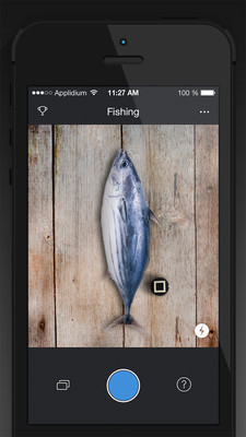 鱼哒哒 安卓版