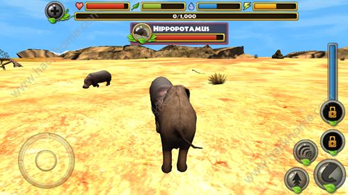 大象真实模拟
