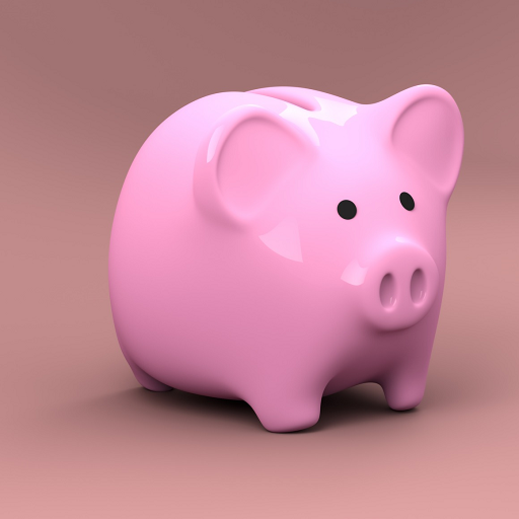 Pig-ee : 口袋钱盒