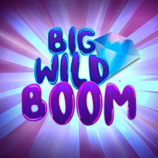 Big Wild Boom