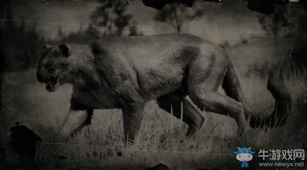 《荒野大镖客2》美洲狮图鉴一览