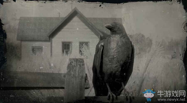 《荒野大镖客2》美洲乌鸦图鉴一览