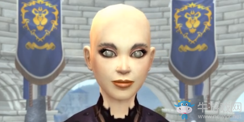 《魔兽世界》9.0女人类妆容捏脸数据一览
