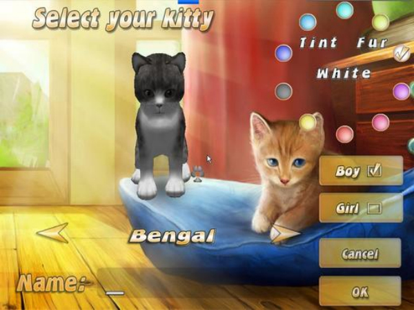 多猫宠物游戏中文版