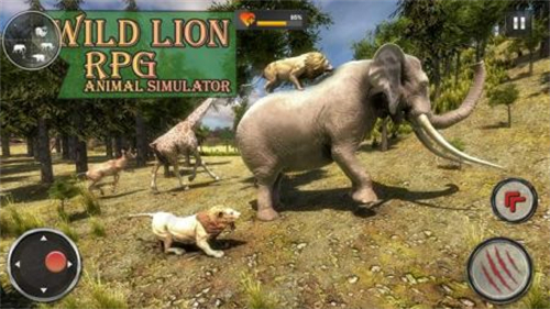 野生狮子RPG动物模拟器