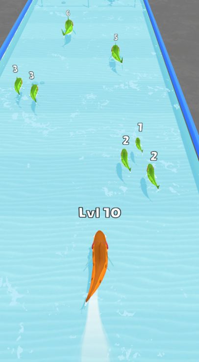 鱼类升级跑3D