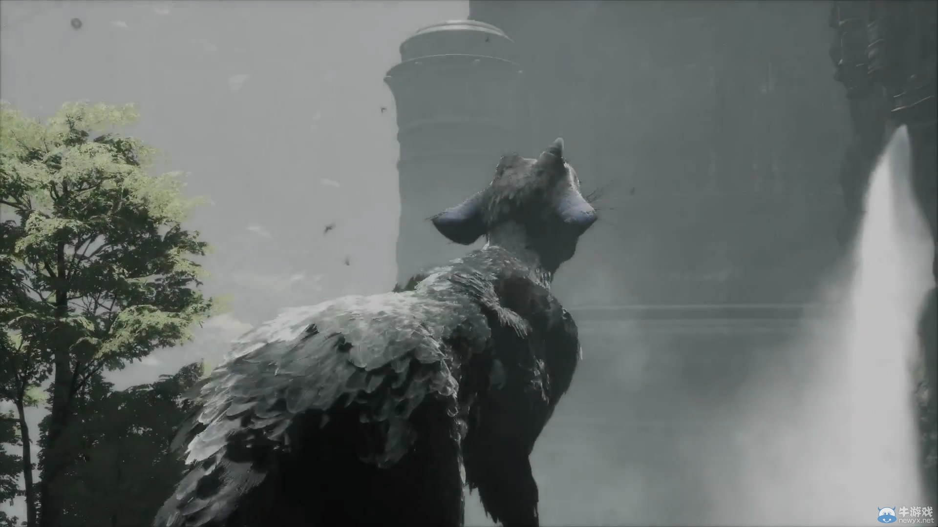 《最后的守护者》正式发售日期公布 E3预告片发布