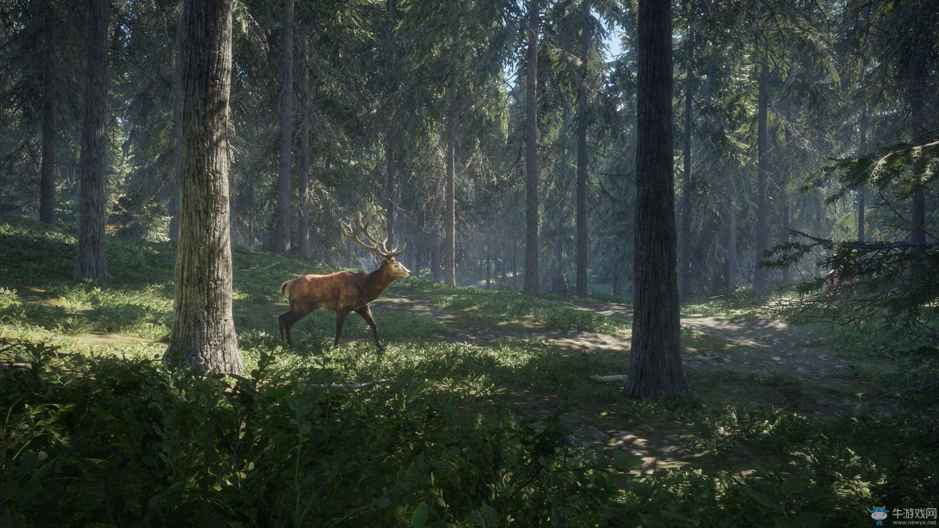 开放世界狩猎新作《猎人：荒野的呼唤》发售日正式公布