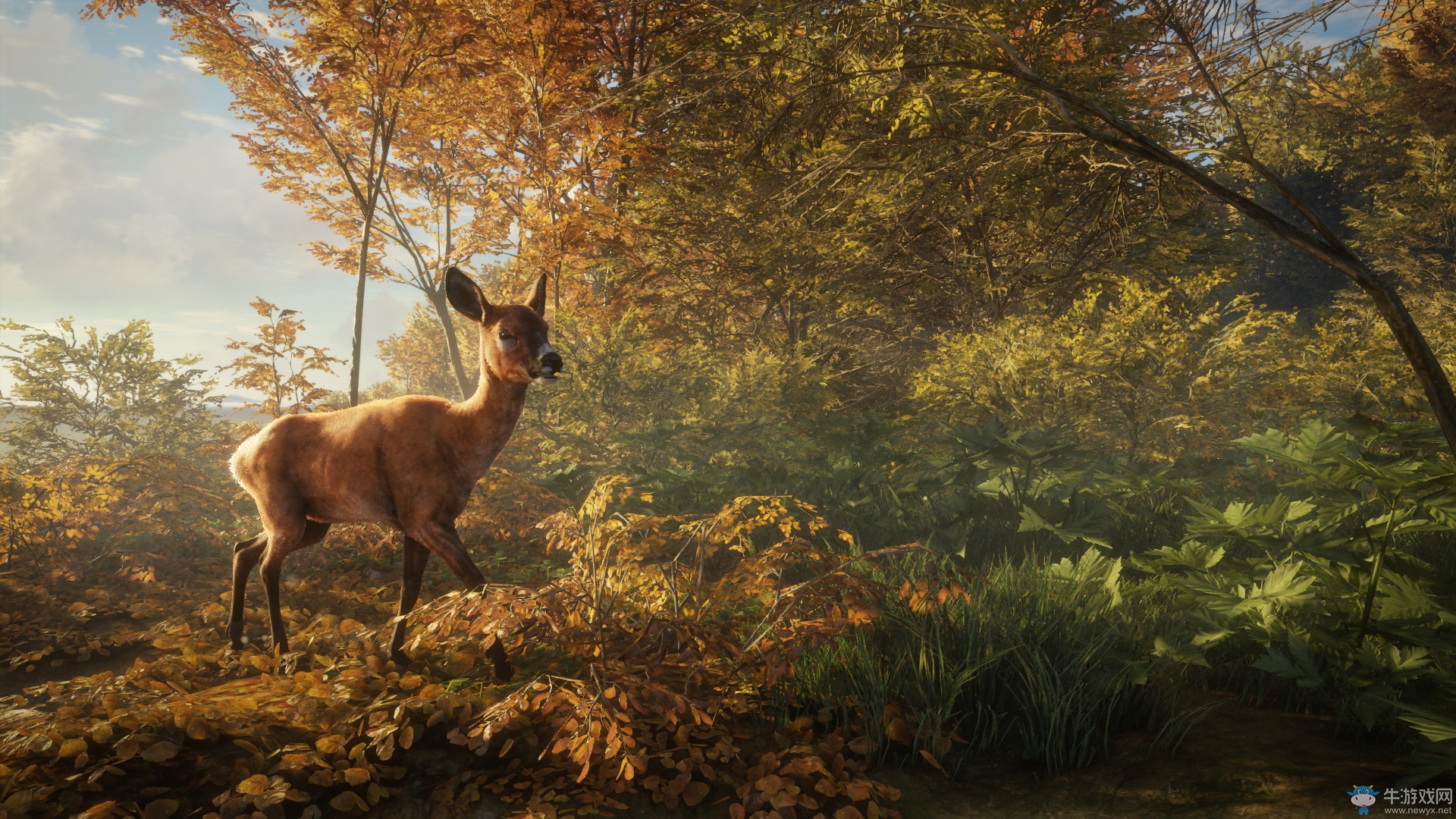 开放世界狩猎新作《猎人：荒野的呼唤》发售日正式公布