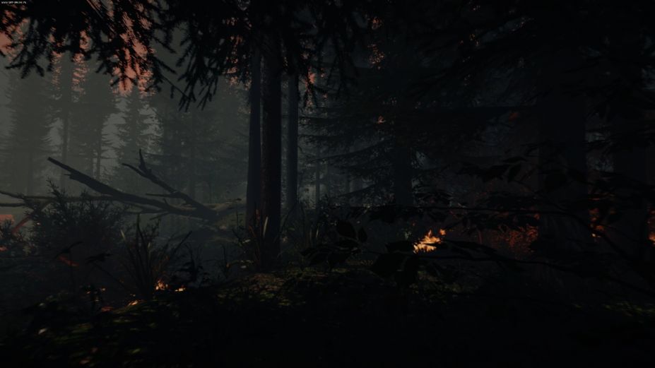 《森林》游戏截图